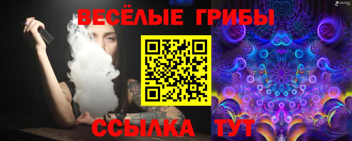 Галлюциногенные грибы мухоморы Биробиджан