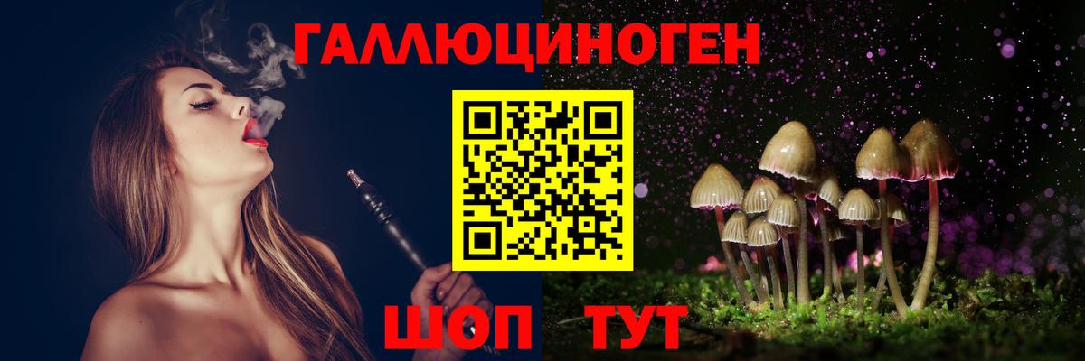 Псилоцибиновые грибы GOLDEN TEACHER  Вход с VPN  Биробиджан 